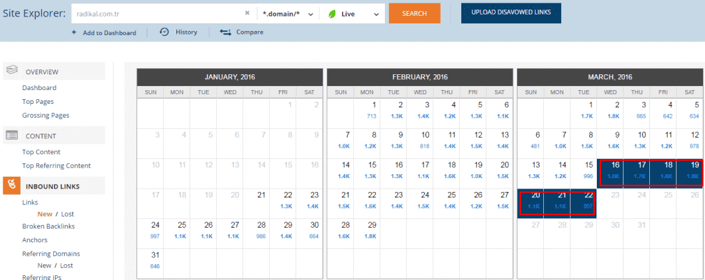 radikal-backlink-3