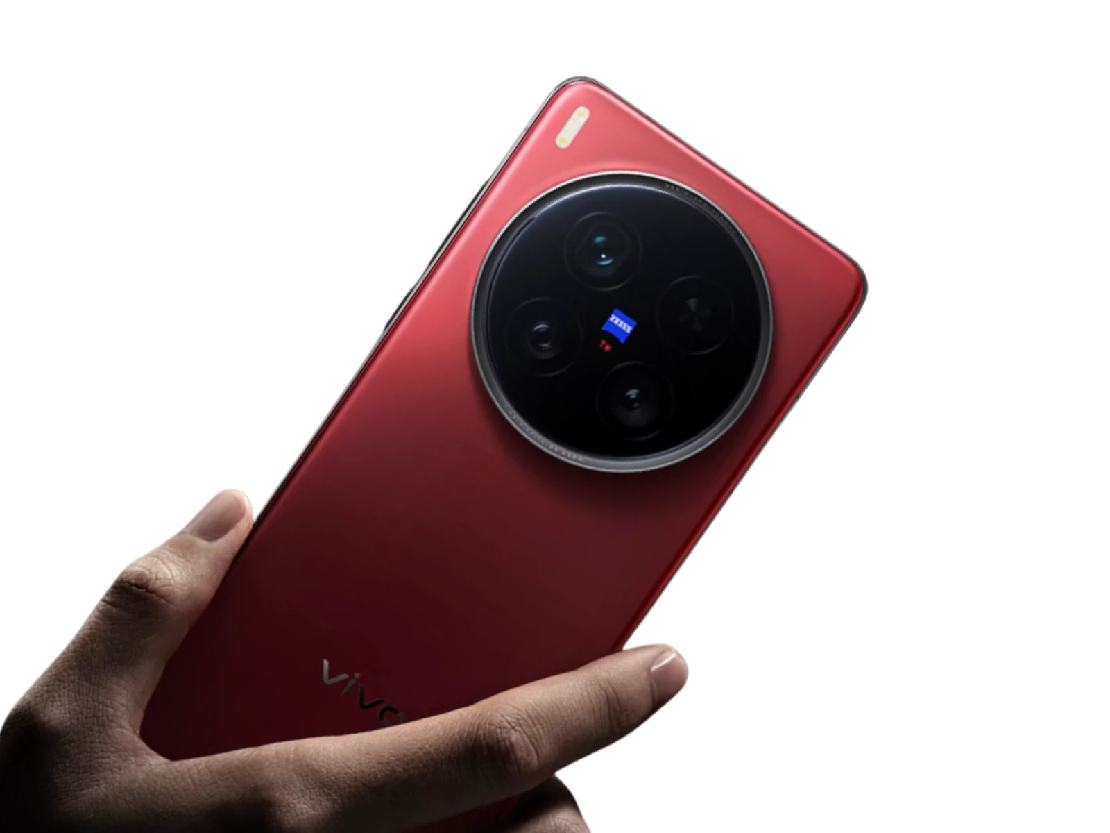 vivo2.webp
