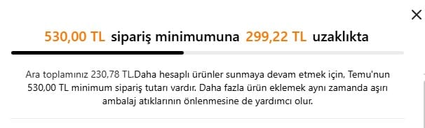 Temu alışveriş limiti