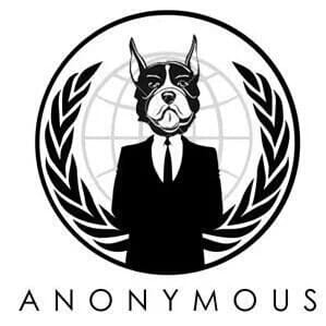 anonymous-cyber-warrior