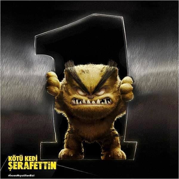 kotu-kedi-serafettin