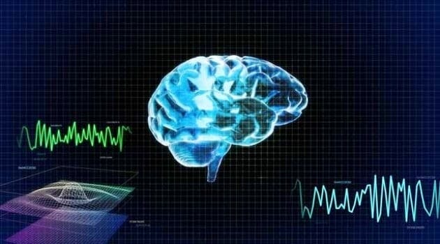 Amerika'lı Bilim Adamları Beyin Üretti