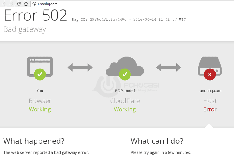 aslan-neferler-tim-anonymous-003