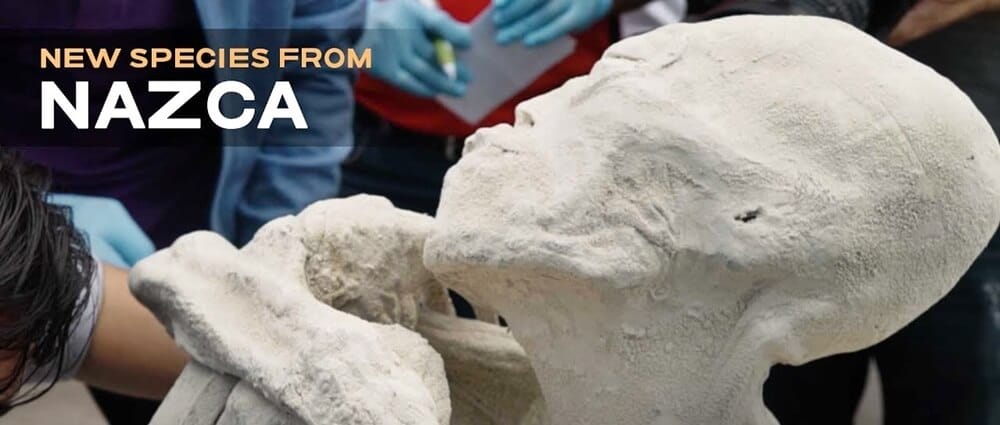 Uzaylılar Gerçek mi ? Peru'da Yeni Bir Uzaylıya Benzer Mumya Bulundu