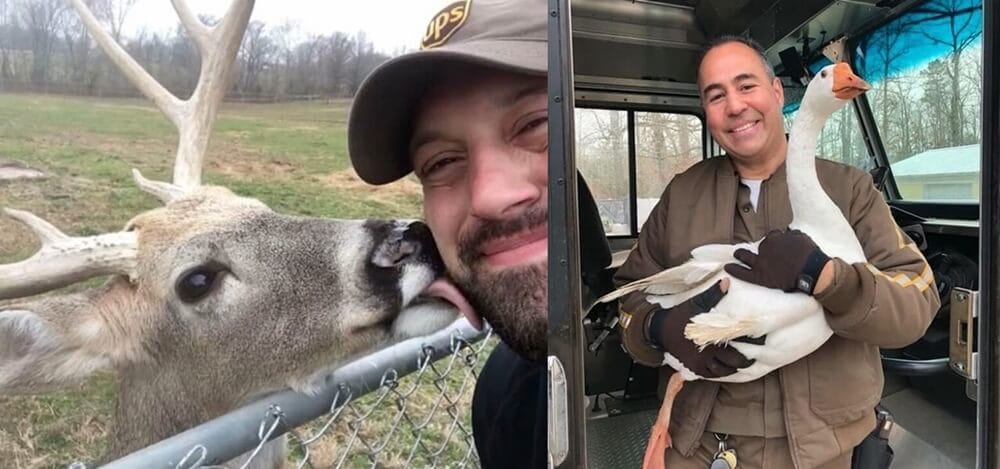 UPS Kargo Sürücülerinin Yakaladığı Yürek Isıtan Fotoğraflar