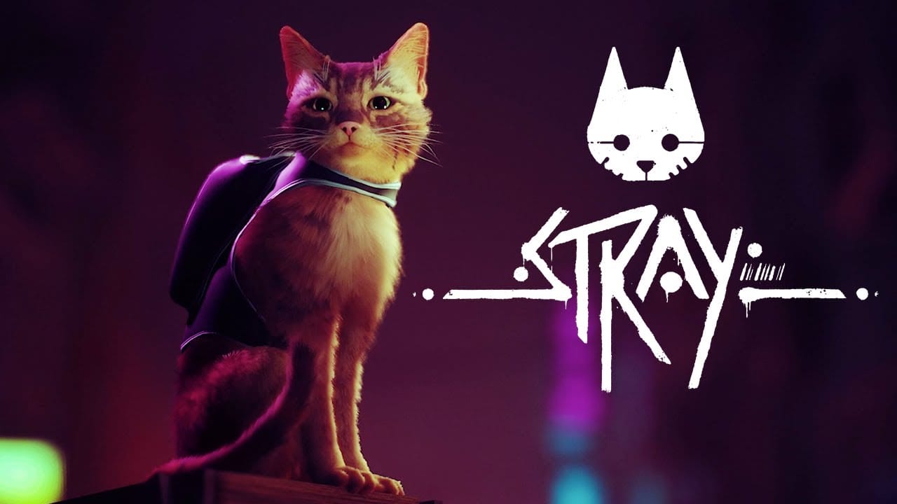 Stray 2022 Yılına Erteleme Aldı!
