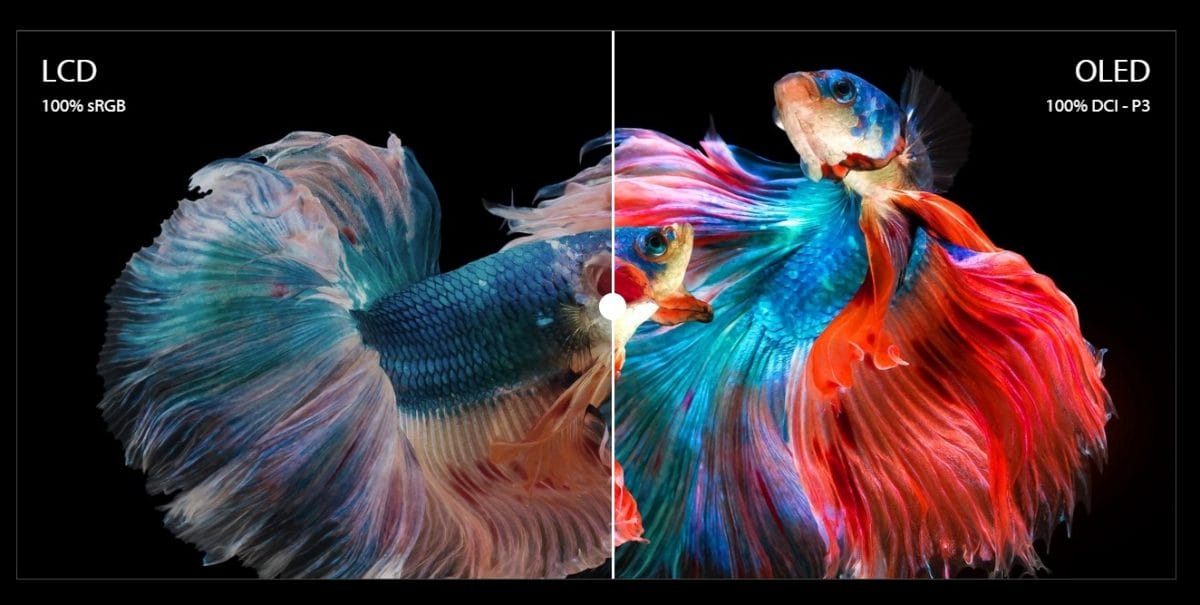 ASUS Zenbook 13 UX325