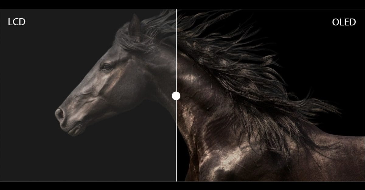 ASUS Zenbook 13 UX325