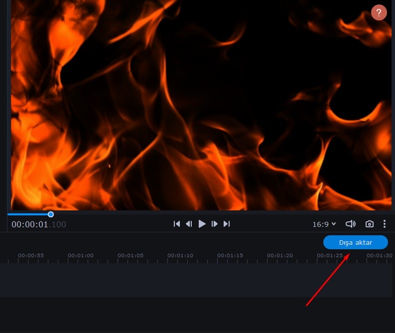Movavi Video Editör Plus 2022