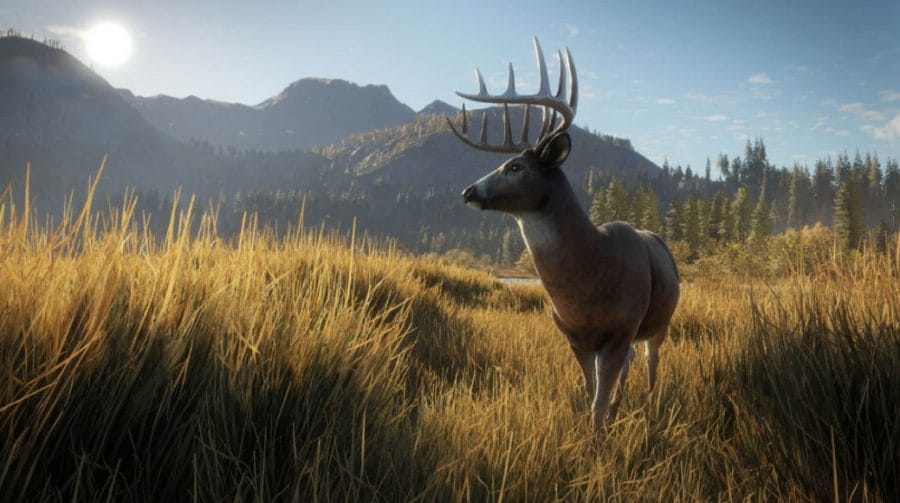 theHunter Call of the Wild