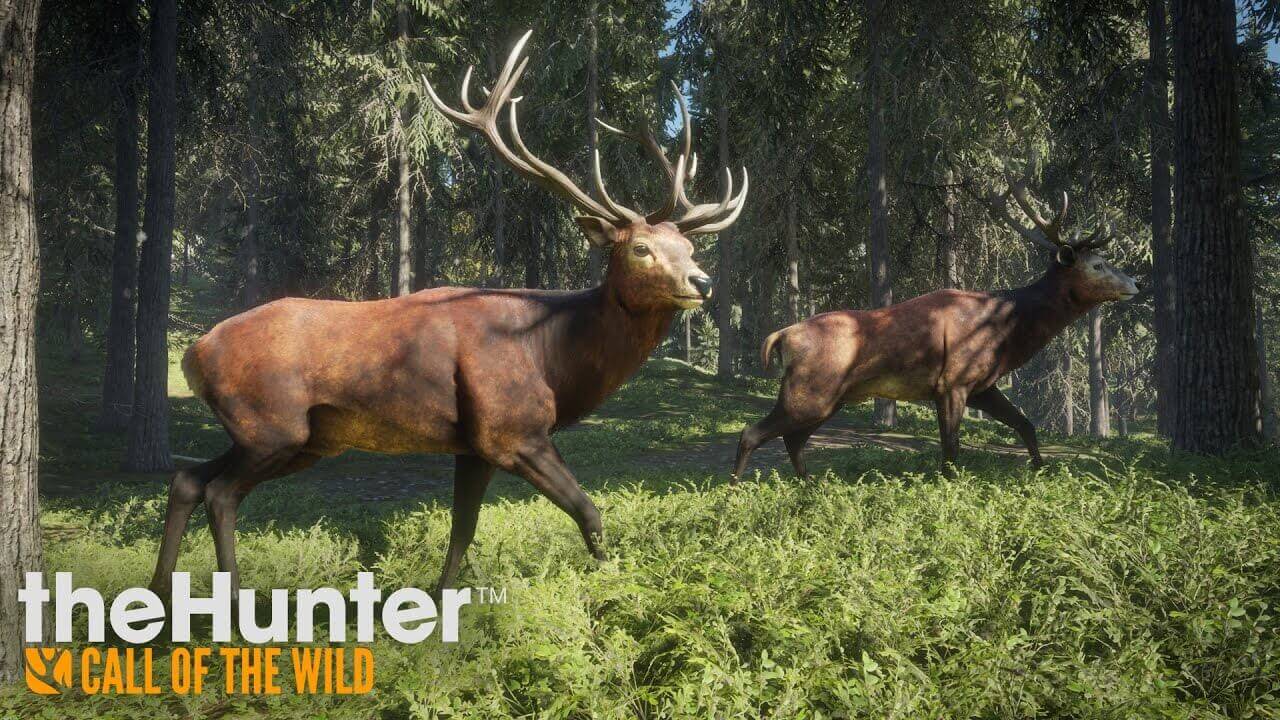 TheHunter: Call of the Wild Sistem Gereksinimleri Nelerdir ?