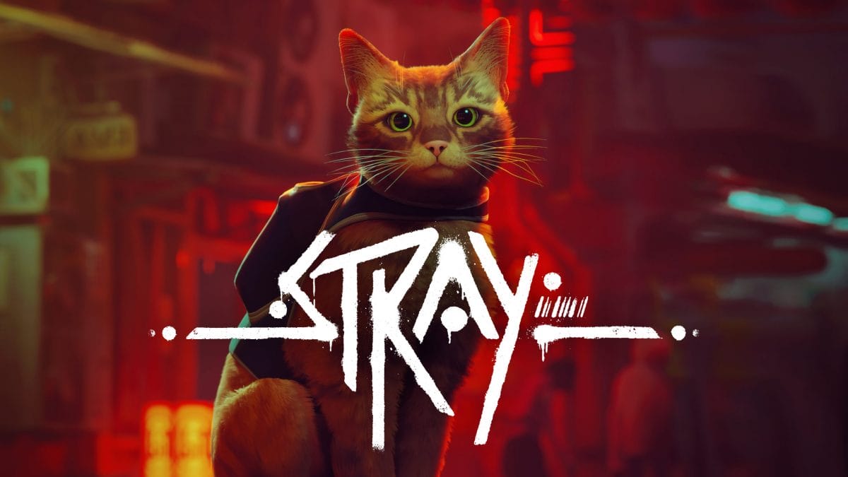 Kedi Simülasyon Oyunu Stray Ne Zaman Çıkacak?