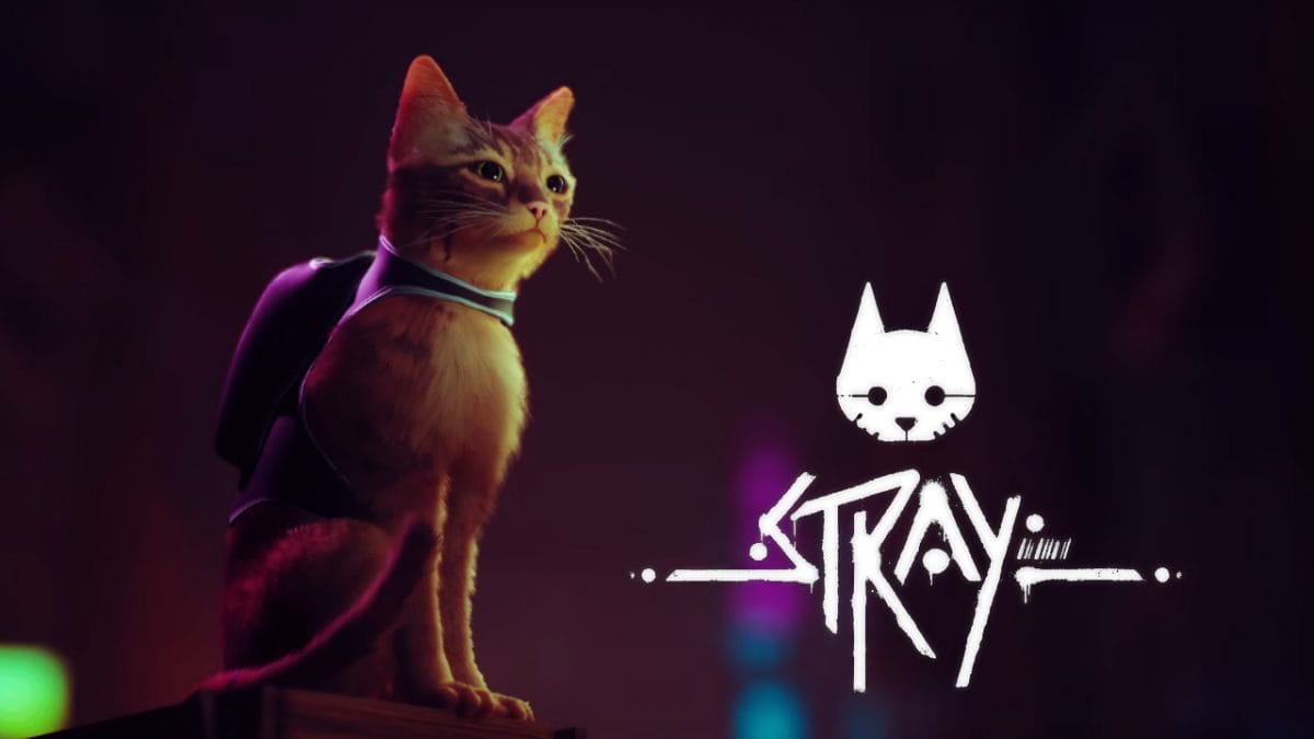 Stray