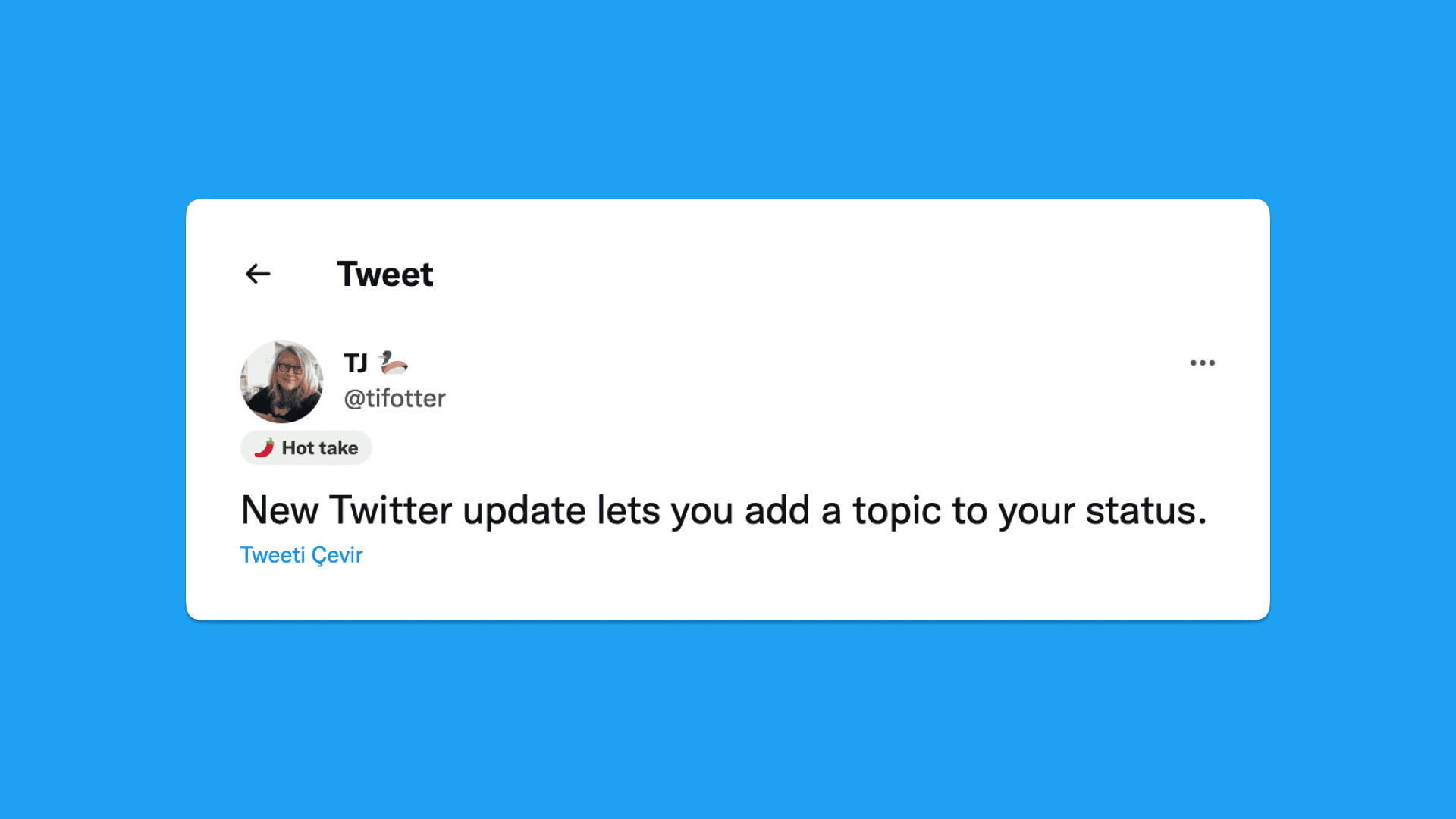 Twitter, "Status" İsimli Yeni Bir Özellik Üzerinde Çalışıyor!