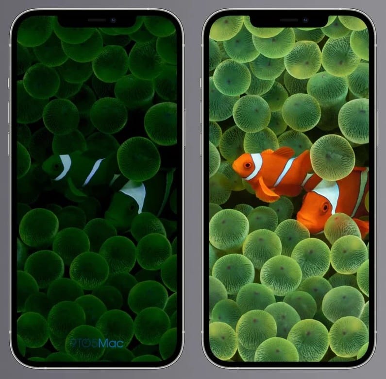 iPhone 14 Pro Always on Display