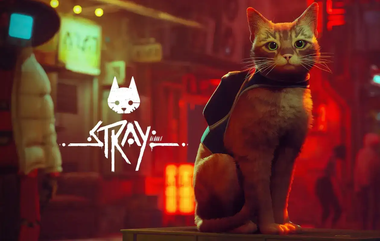 Stray için Beklenen Haber Geldi Mac Cihazlarına Geliyor!