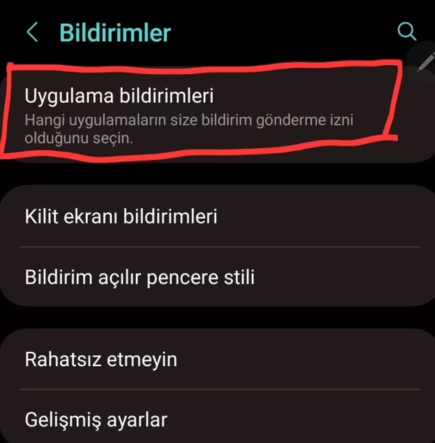 WhatsApp Bildirim Gelmiyor
