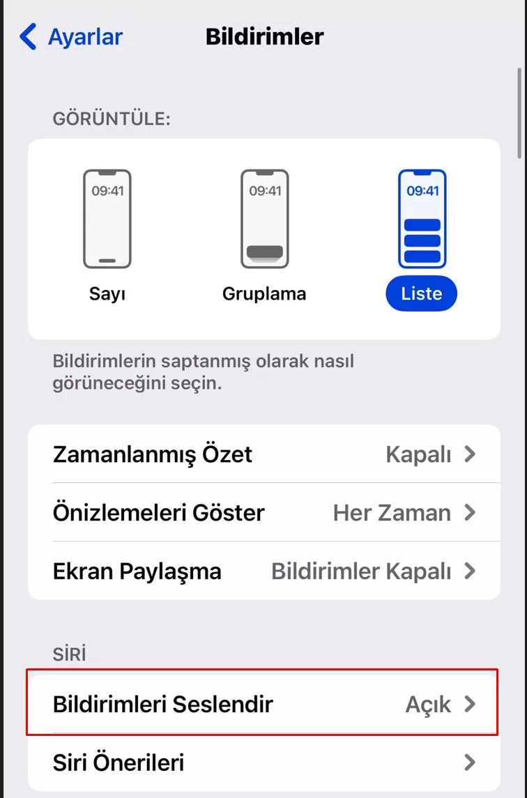WhatsApp Bildirim Gelmiyor