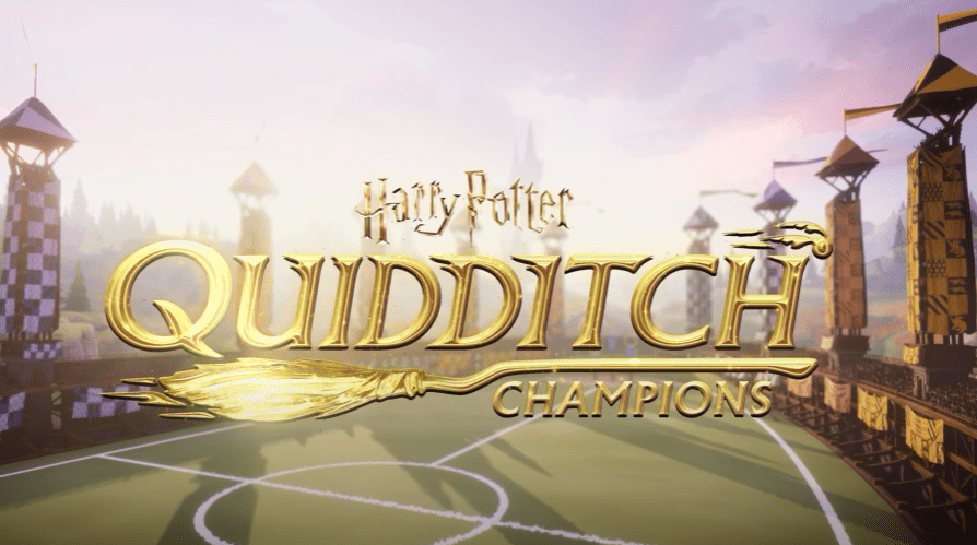 QUIDDITCH Champıons