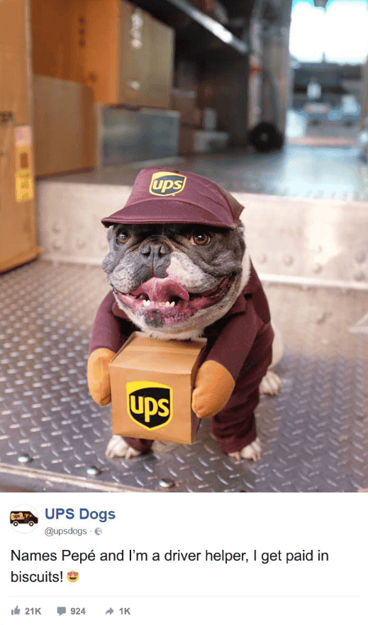 ups kargo suruculerinin yakaladigi fotograflar pchocasi 003 - PC Hocası
