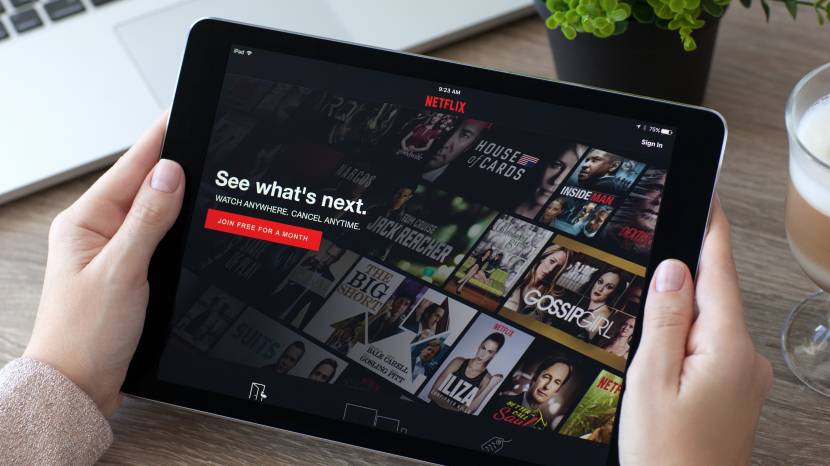 Netflix uygulamasina iPhone X ve iPad Pro icin HDR destegi eklendi93923 0 - PC Hocası