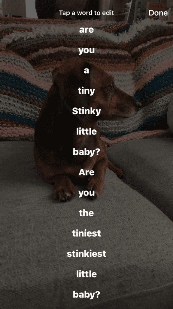Instagram Hikayelere "Otomatik Altyazı" Desteği Geliyor! stinky baby transcript - PC Hocası