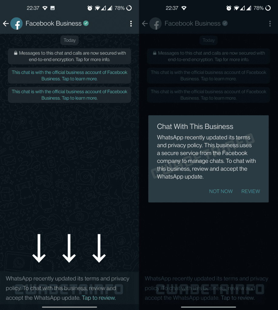 WhatsApp Artık Kullanıcıları "Yeni Gizlilik Sözleşmesi" Konusunda Zorlamayacak WA ACCEPT TOS TO CHAT BUSINESS ANDROID 1834x2048 1 - PC Hocası