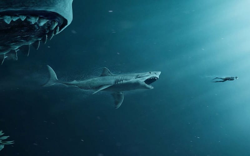 THE MEG - PC Hocası