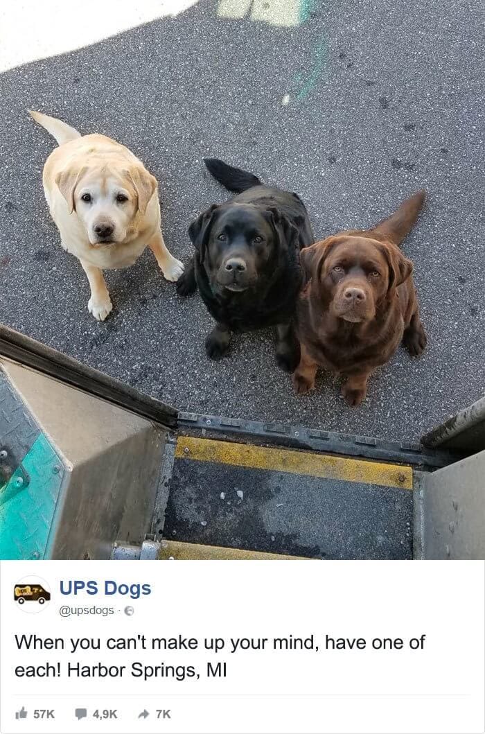 ups kargo suruculerinin yakaladigi fotograflar pchocasi 007 - PC Hocası