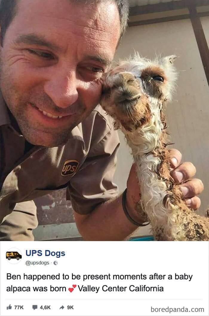 ups kargo suruculerinin yakaladigi fotograflar pchocasi - PC Hocası