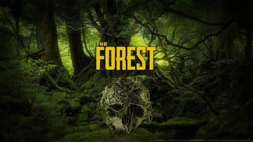 the forest - PC Hocası