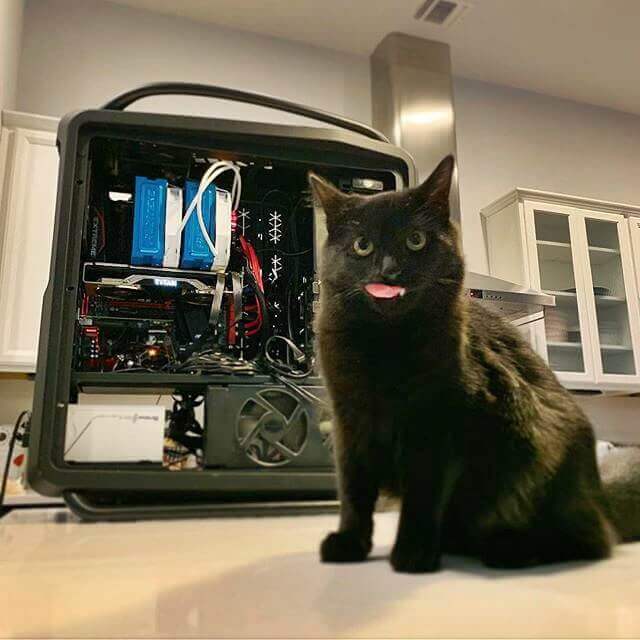 nvidia titan rtx 003 - PC Hocası