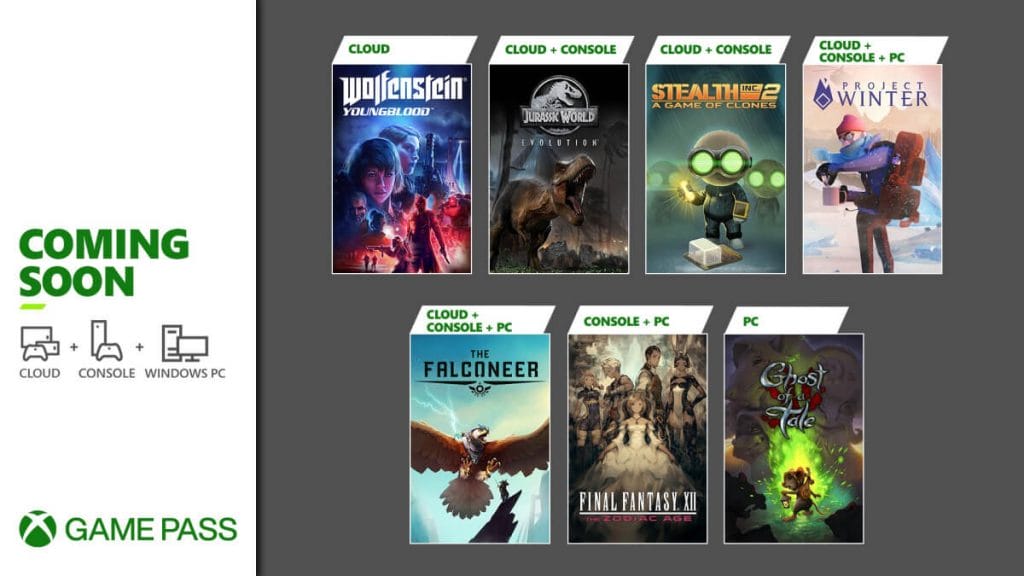 the falconeer final fantasy XII ve daha bircok oyun bu ay xbox game passe geliyor 1 - PC Hocası
