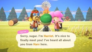 animal crossing new horizons free update november 9 - PC Hocası