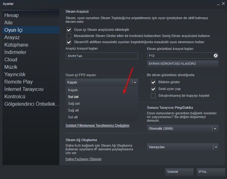 Steam FPS sayacı